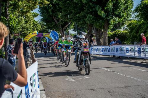 MonseliceRosa24 press-20