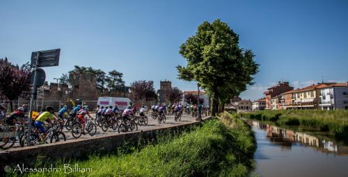 MonseliceRosa24 press-21