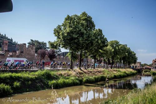 MonseliceRosa24 press-23