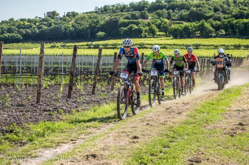 MonseliceRosa24 press-28