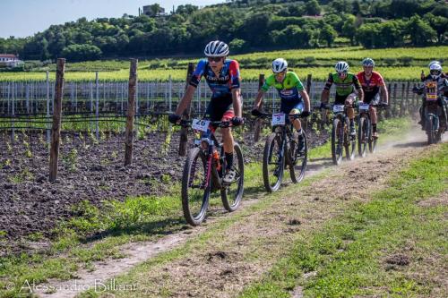 MonseliceRosa24 press-29