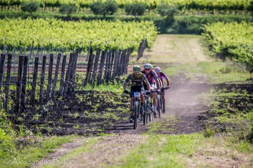 MonseliceRosa24 press-31