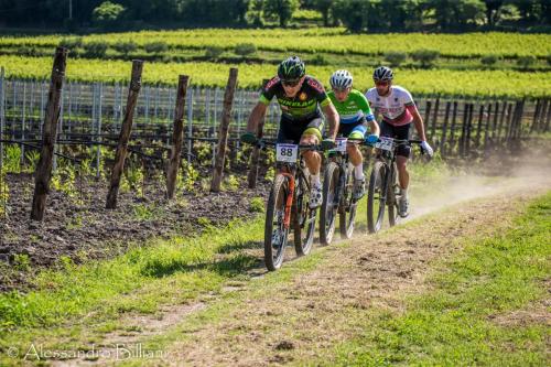 MonseliceRosa24 press-32