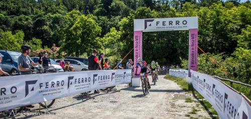 MonseliceRosa24 press-35